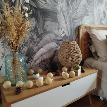 Apartament Gare Centre Parking Nancy