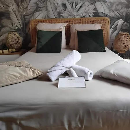 Apartament Gare Centre Parking Nancy