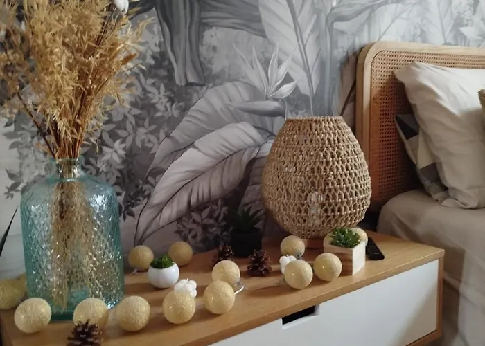 Daire Gare Centre Parking Nancy