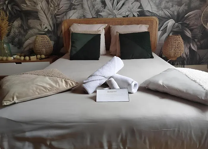 Daire Gare Centre Parking Nancy