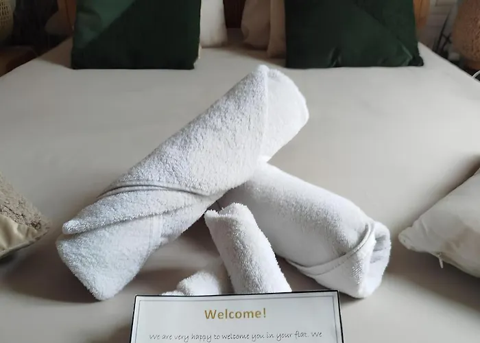 Daire Gare Centre Parking Nancy