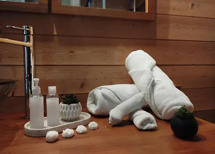 Gare Centre Parking Daire